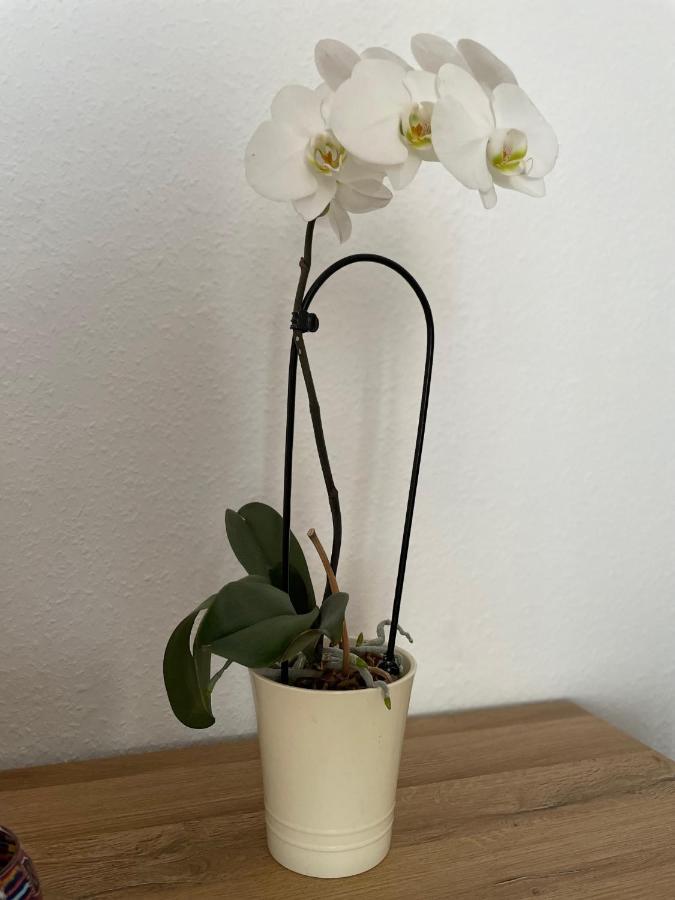 Wohlfuehlwohnung In กุมเมอร์สบาค ภายนอก รูปภาพ